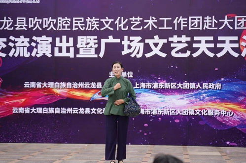 云龍吹吹腔藝術之花綻放大團鎮，兩地文化藝術交流譜新篇